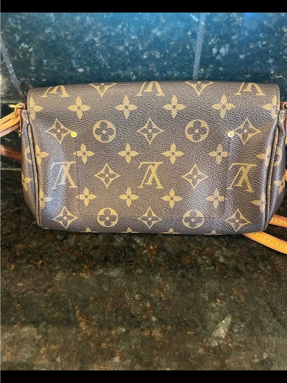 Louis Vuitton Favorite PM Monogram purse – Discontinued Style